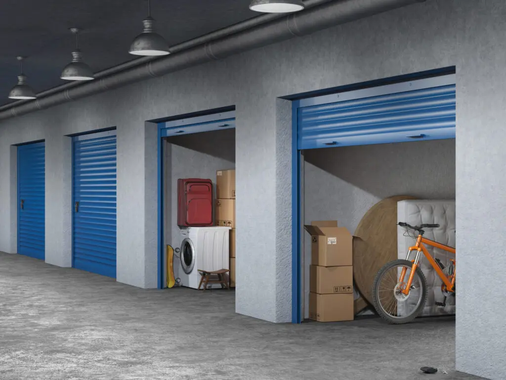 Exploring Self-Storage Properties